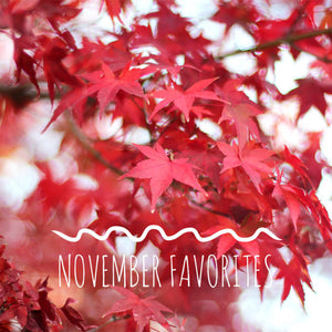 November 2018 Favorites