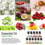 Aromatherapy Fruit Essential Oils Natural Pure Organic Essential Oil Fragrances